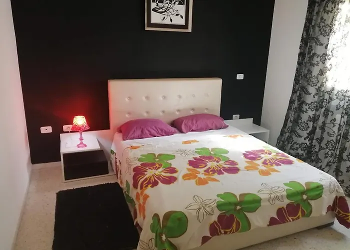 Palmeraies Vacances Tunis