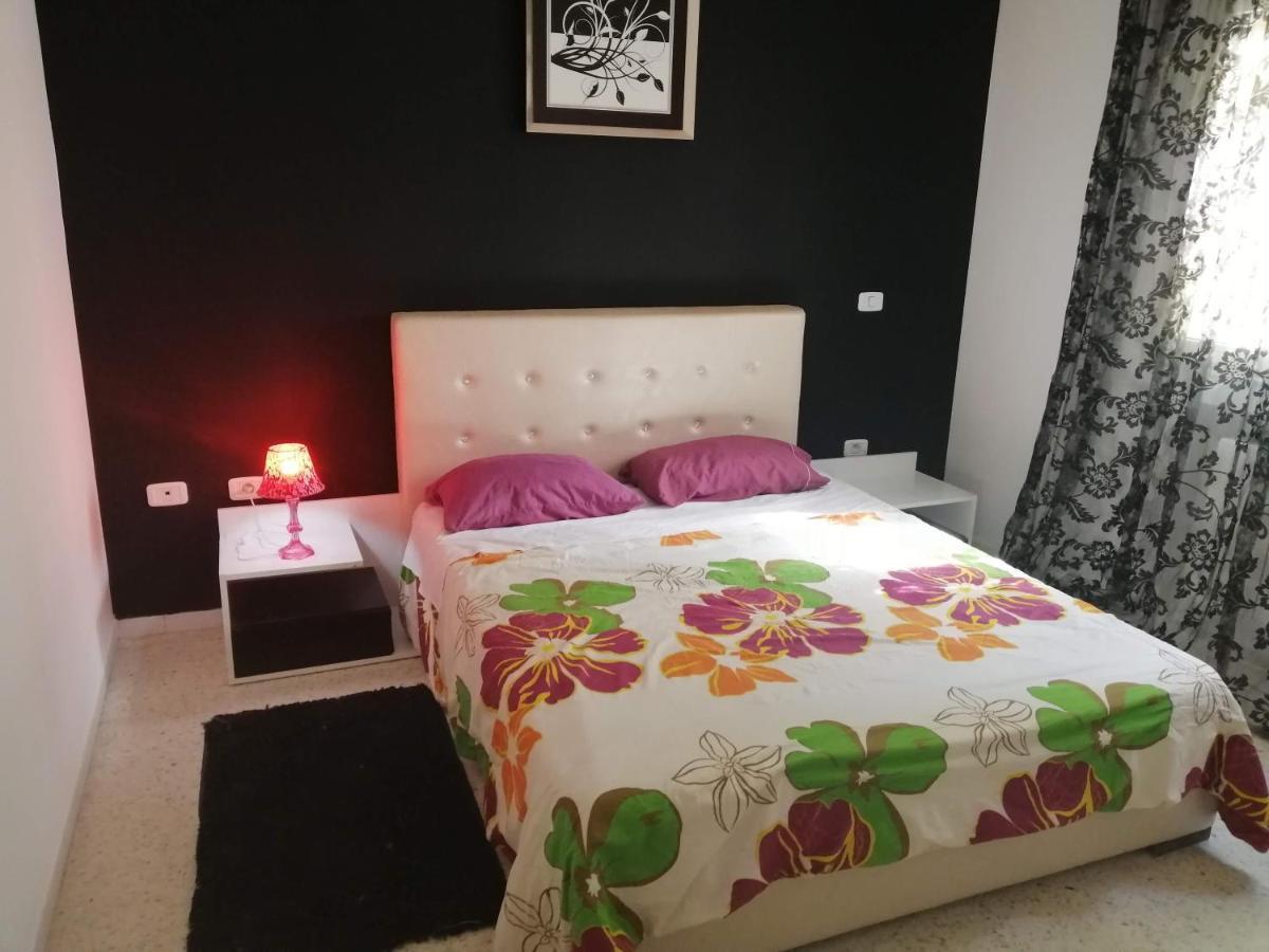 Palmeraies Tunis La Marsa