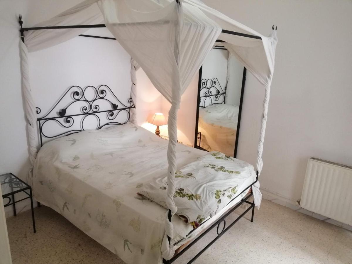 Palmeraies Tunis La Marsa